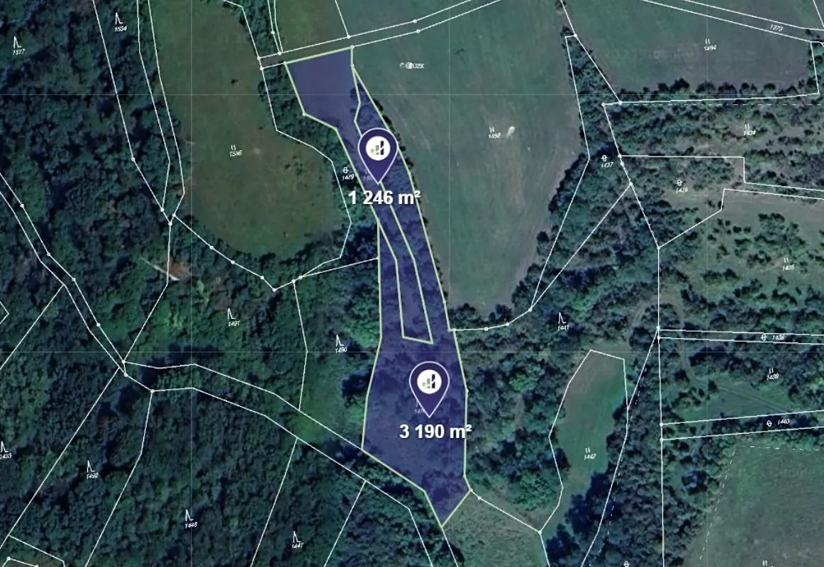 Prodej lesa 4436 m²